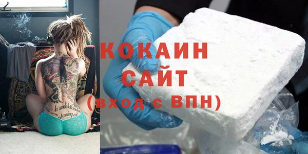 дмт Алексин